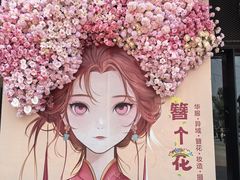 -荷兰花海