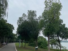 -金银湖国家城市湿地公园