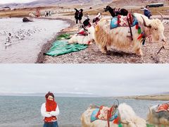 -青海湖国家重点风景名胜区