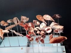 -美国自然历史博物馆