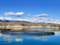 -乌鲁木齐天山国际机场-T3航站楼
