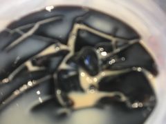 -3.3手制甜品轻食馆(虎门万科云城店)