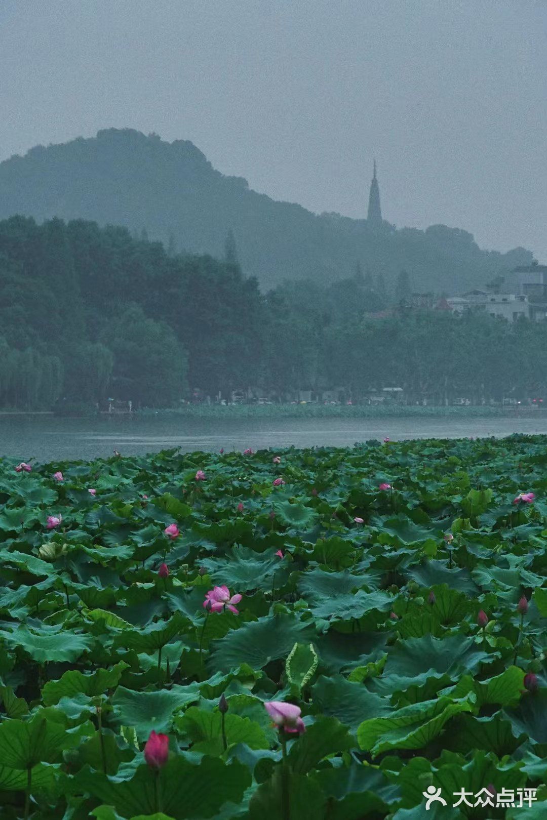 杭州|西湖烟雨,不虚此行