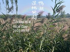 -野鸭湖国家湿地公园