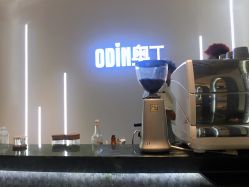-ODIN 奥丁形象设计 