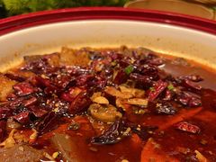 -金鼎轩(亚运村店)