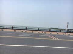 -合肥滨湖国家森林公园