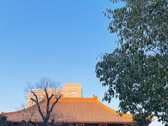 -西安大兴善寺