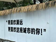 -芭厘农庄老字号·清远鸡