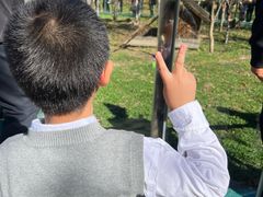 -横道河子东北虎林园