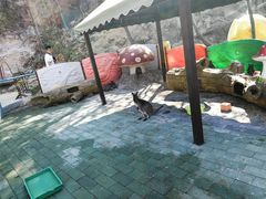 -汕尾铜鼎山旅游区