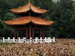 -富乐山