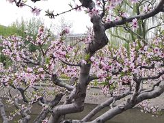 -元大都城垣遗址公园