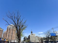 -魏家凉皮(梨园店)