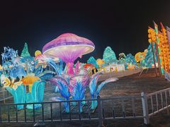 -淄博花灯齐彩城