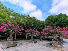 -杭州城北体育公园