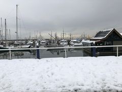 -Steveston Pizza Company (Richmond)