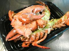 波士顿龙虾-盒马鲜生(宝地店)