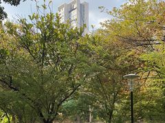 -深圳国际园林花卉博览园