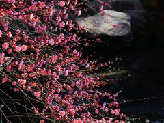 -西湖风景名胜区(西湖)