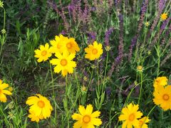 -青州市云门山风景区