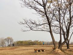 -盘龙城国家考古遗址公园