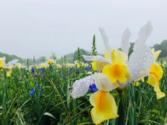 -保利石象湖景区