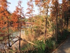iphone_upload_pic-东部华侨城