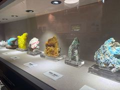 -陕西自然博物馆