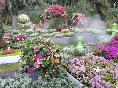 -莲花山公园