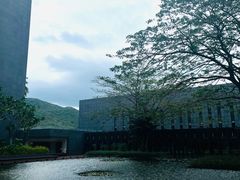 -三亚太阳湾柏悦酒店