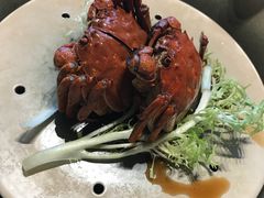 -碧丽宫大酒店(召稼楼店)