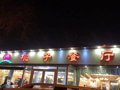 门面-桃子餐厅·天津菜(红星路直营店)