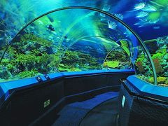 -上海海洋水族馆