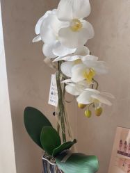 -天津时光诺颜·轻医美·轮廓抗衰中心