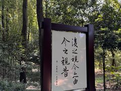 -兰亭风景区