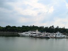 -长洲岛