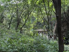 -大岭沟猕猴桃谷风景区