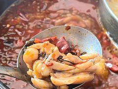 -销魂美蛙鱼头火锅(上海首店)