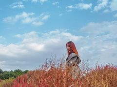 -花开海上生态园