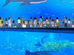 -帝企鹅自助餐厅•儿童岛•真企鹅(长隆企鹅酒店)