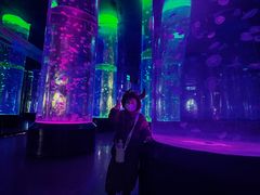 -海合安成都极地海洋公园