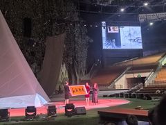 -灵玲国际马戏城