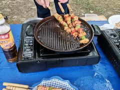 -桤木河湿地公园