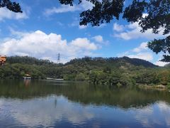 -深圳仙湖植物园