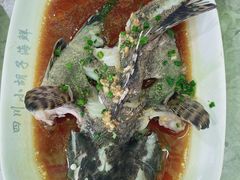 石斑鱼清蒸-四川小胡子海鲜(丁村万人海鲜广场店)