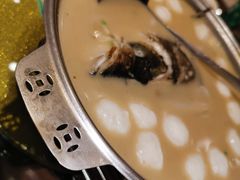 -刘胖子家常菜·蹄花焖藕(兴业店)