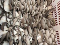 -华联商厦(火车站店)