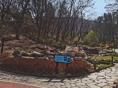 -大连植物园