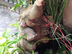 景观位-Dash Teak House